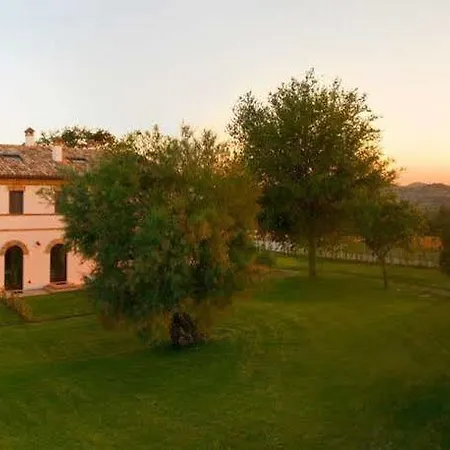 Coralia * Castelfidardo